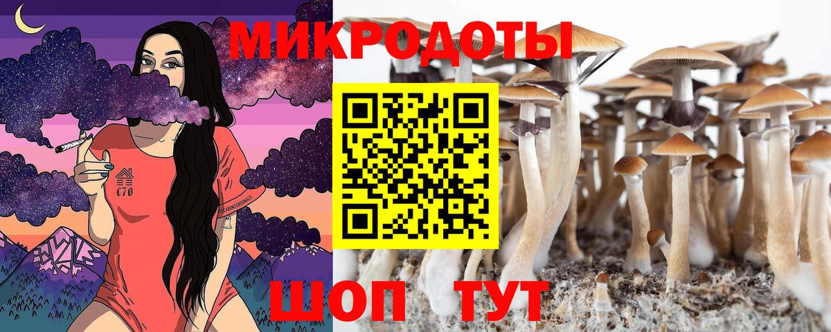 хочу наркоту  Вход с VPN  Псилоцибиновые грибы MAGIC MUSHROOMS  Троицк  Псилоцибиновые грибы ЛСД 
