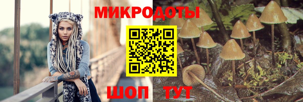 Псилоцибиновые грибы Magic Shrooms Троицк